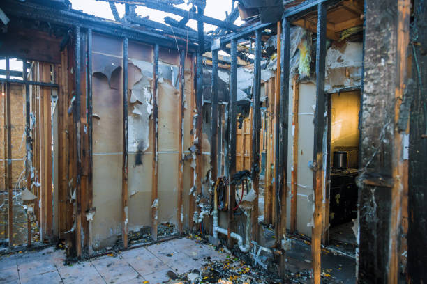 Professional Fire Damage Repair technician working in Morristown, MN
